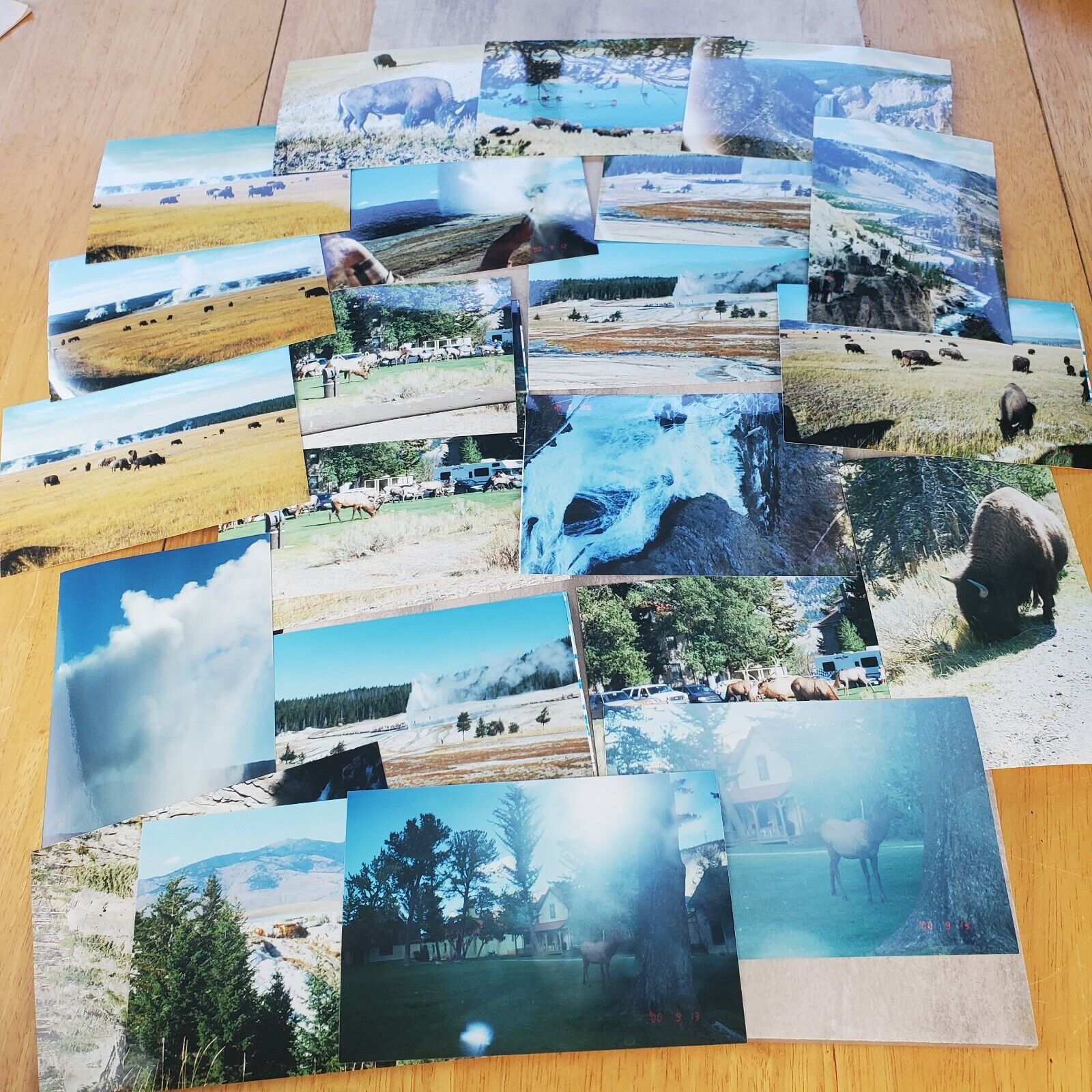 Yellowstone National Park Vintage Color Photos Lot Of 24