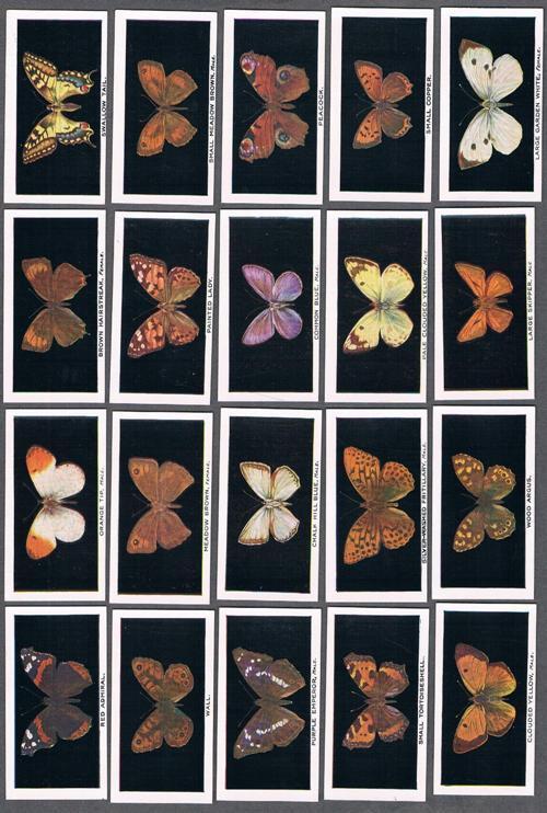 1935 Abdulla & Co. British Butterflies Tobacco Cards Complete Set of 25