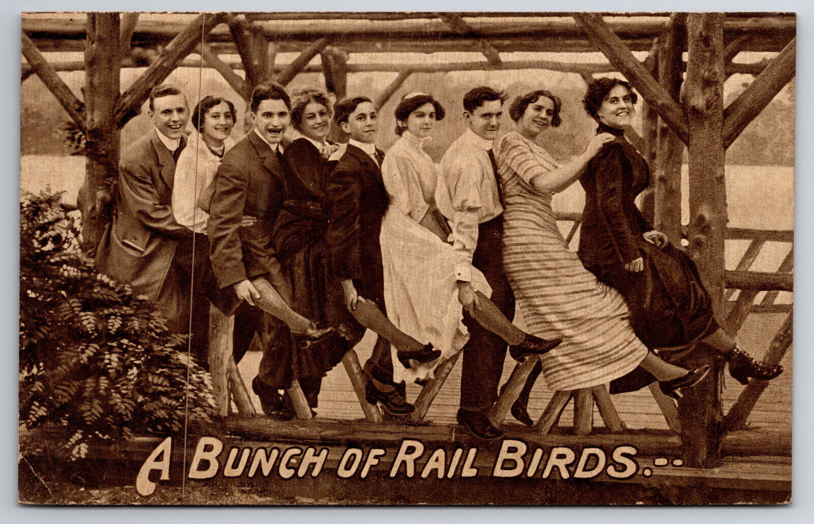 Antique Postcard A Bunch Of Rail Birds Posted Oct. 26 1910 Wheeling W. Va. A68
