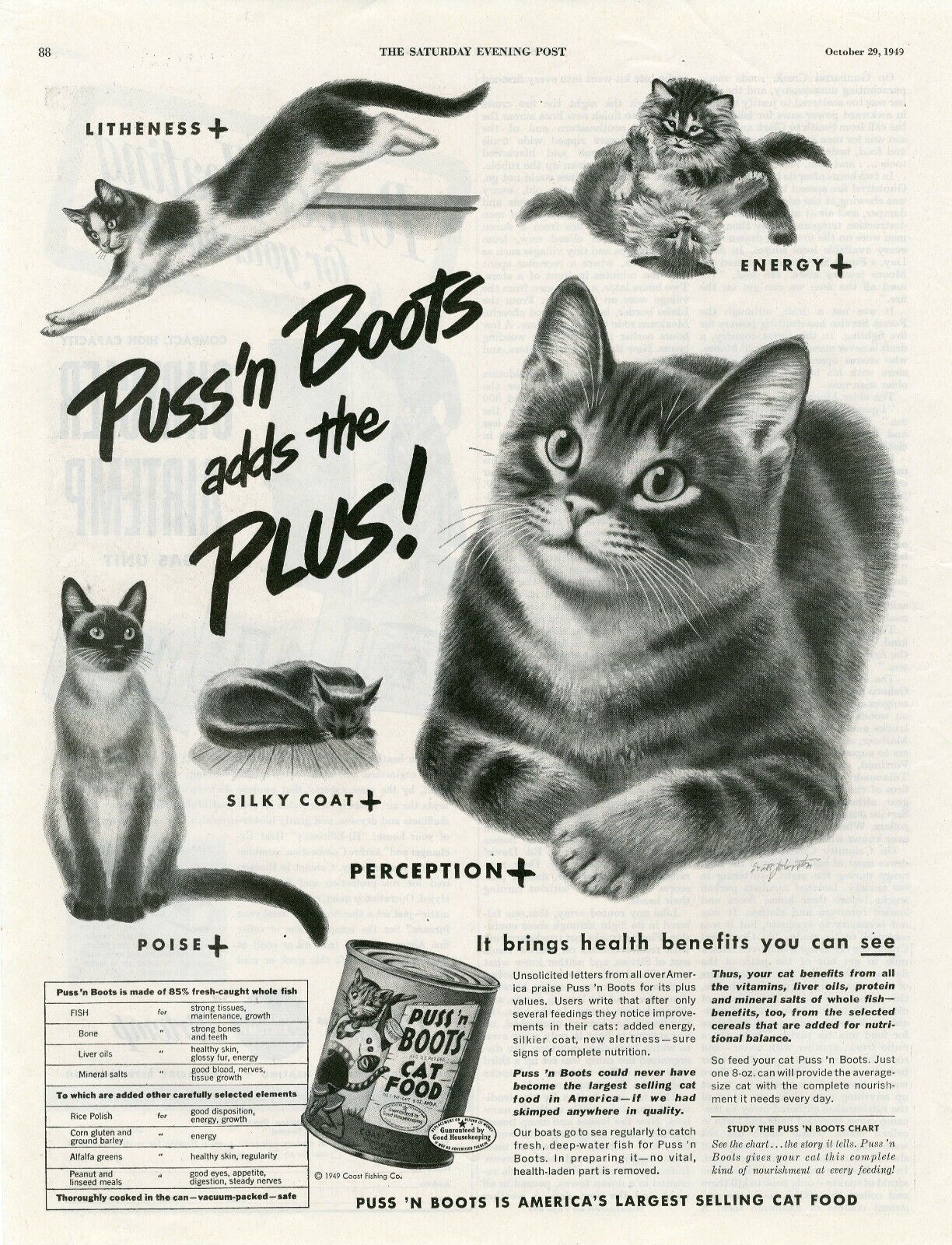 ORIGINAL 1949 AMERICAN MAGAZINE PUS\'N BOOTS TINNED CAT FOOD ADVERT  b194