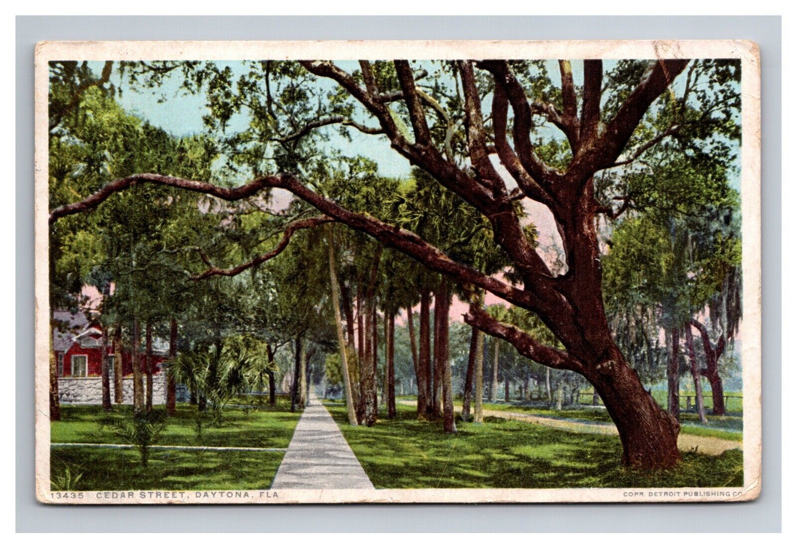 Postcard Daytona Florida Cedar Street Sidewalk and Houses