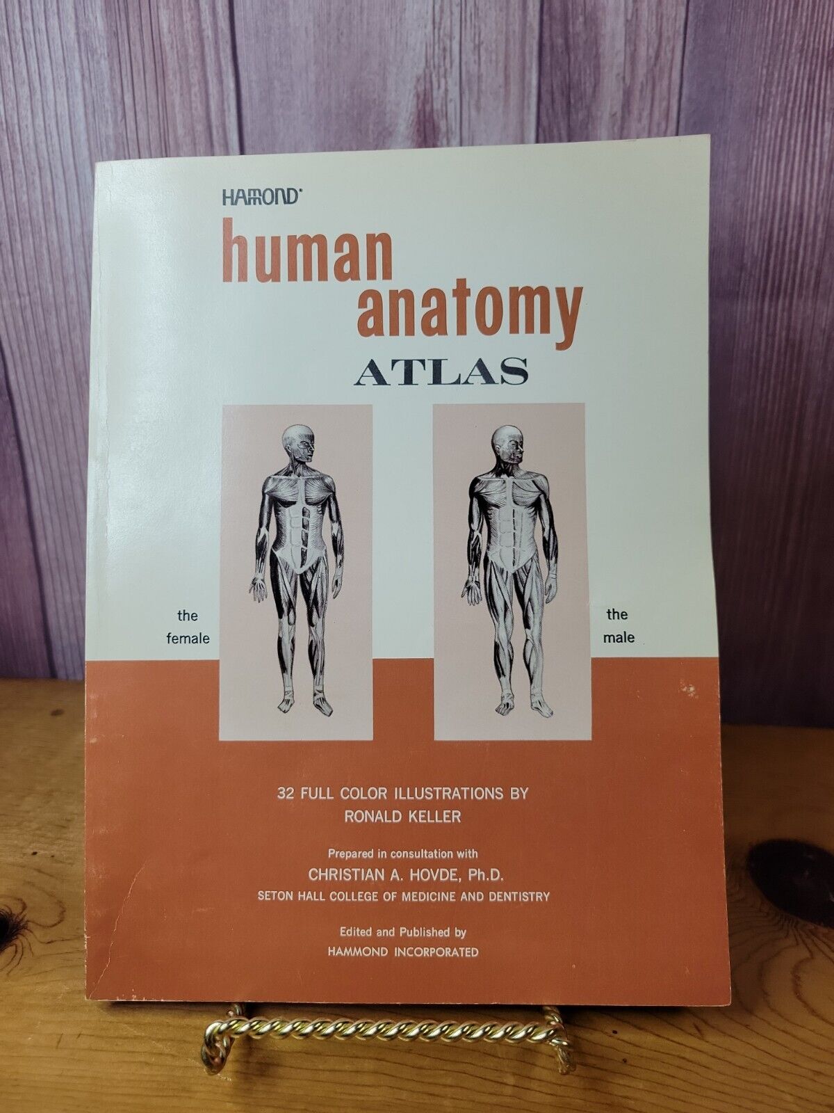 Vintage Human Anatomy Book Full Color Illustrations