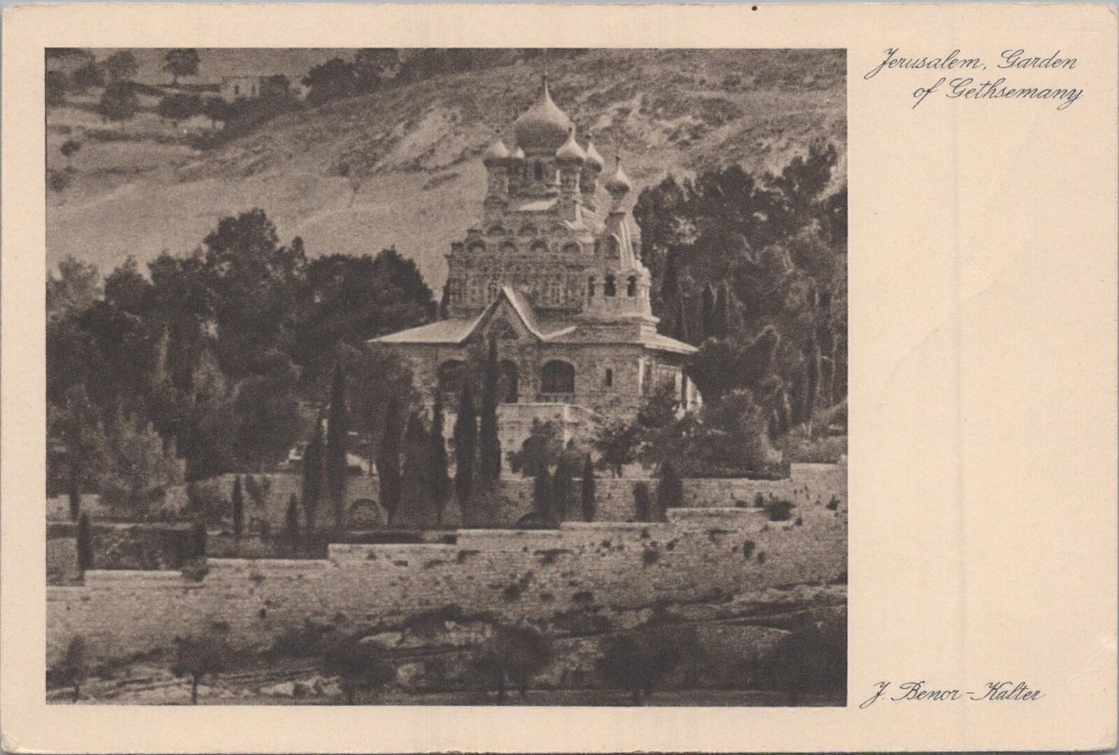 Postcard Jerusalem Garden of Getjsemany  Israel J Benor Kalter