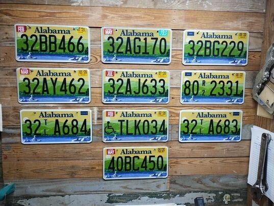 Alabama Lot of 10 Expired 2019 License plates 32BB466