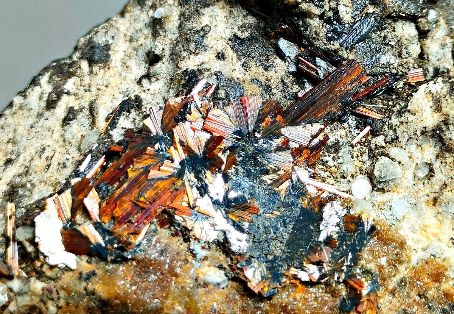 38 Gram Gorgeous Extremely Rare Natural Sagenite Specimen~Pakistan