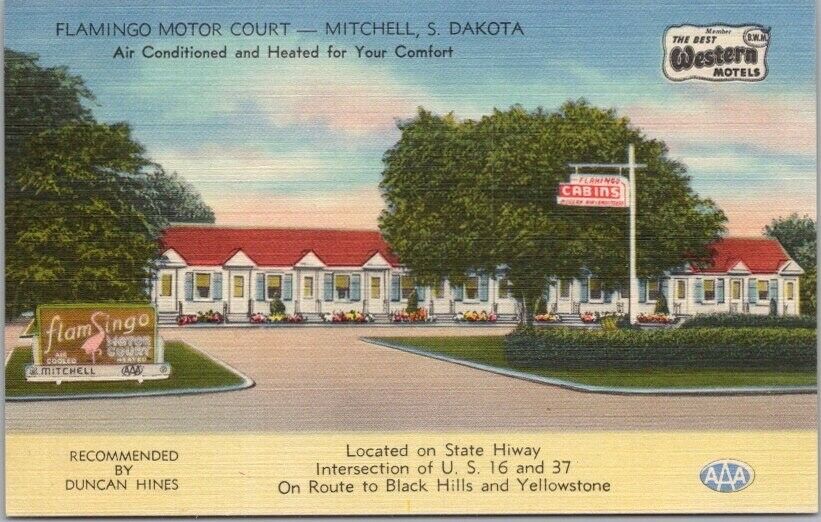 Vintage 1950s MITCHELL South Dakota Postcard FLAMINGO MOTOR COURT Tichnor Linen