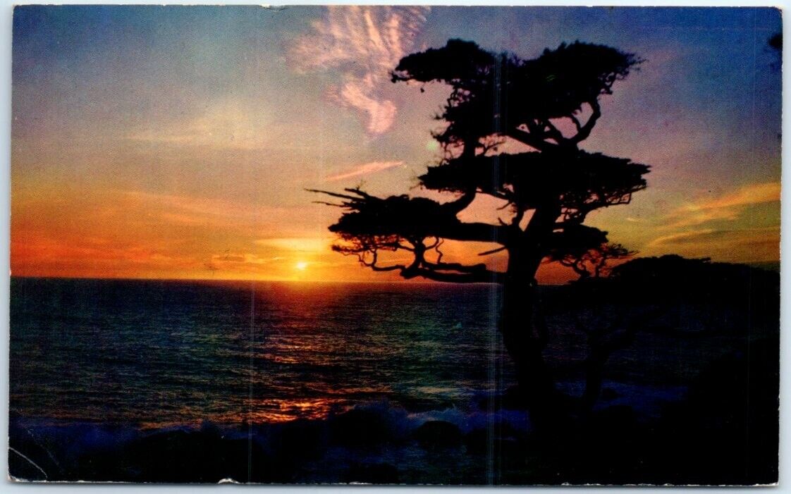 Postcard - Seascape - Nature/Landscape Scene - Sunset & Tree