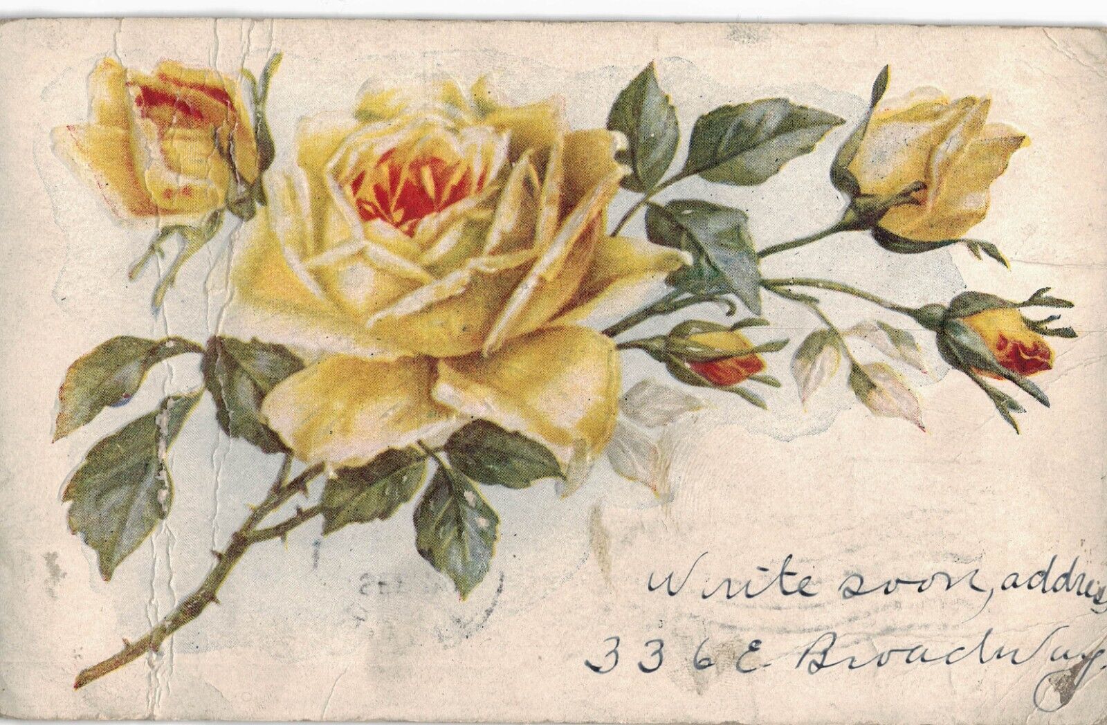 C1910 White Rose Blooming Thorns Art Nouveau Colored Embossed Antique Postcard