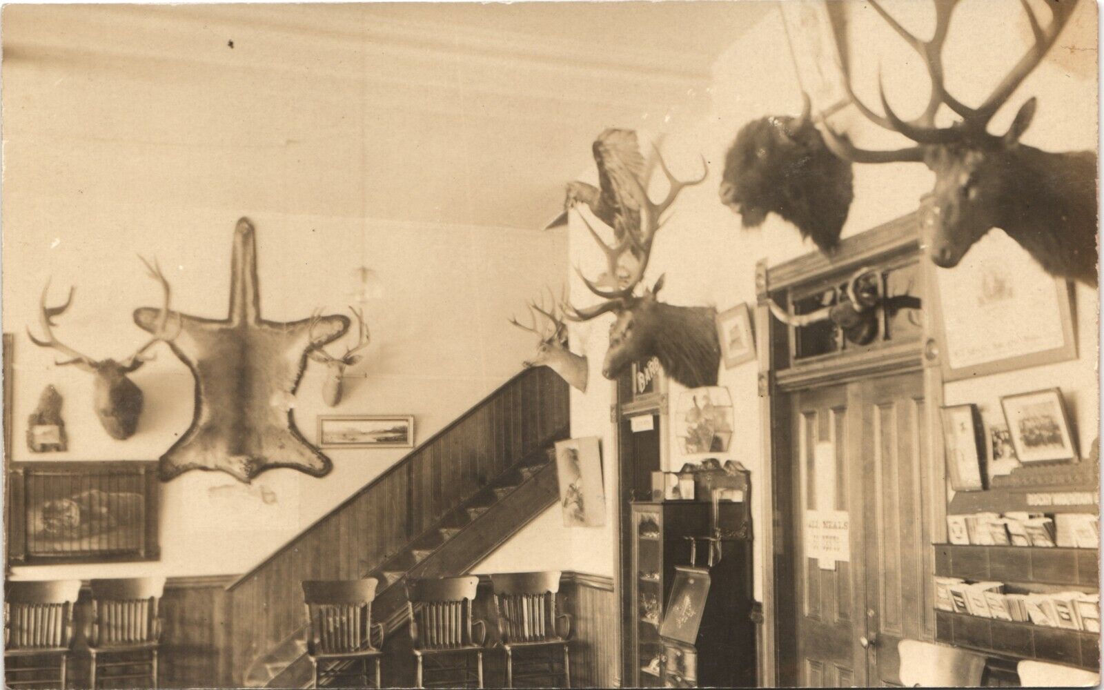 RUSTIC HOTEL LOBBY antique real photo postcard rppc TAXIDERMY MOUNTED GAME c1910