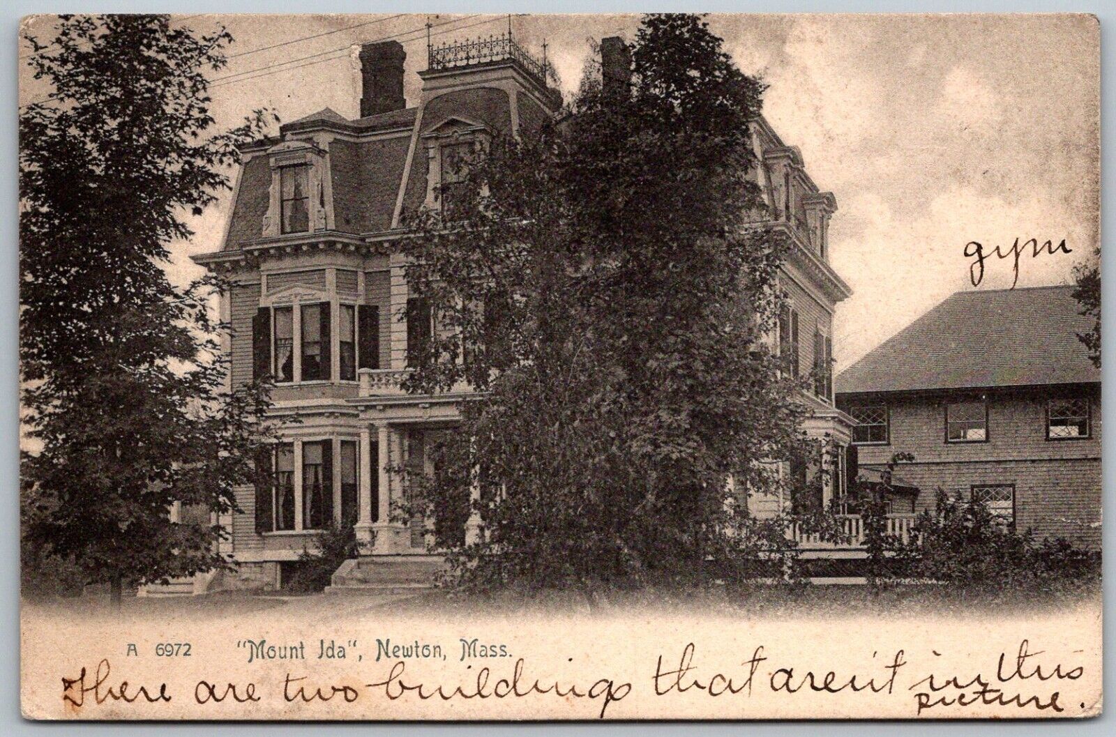 Newton Massachusetts 1906 Postcard Mount Ida