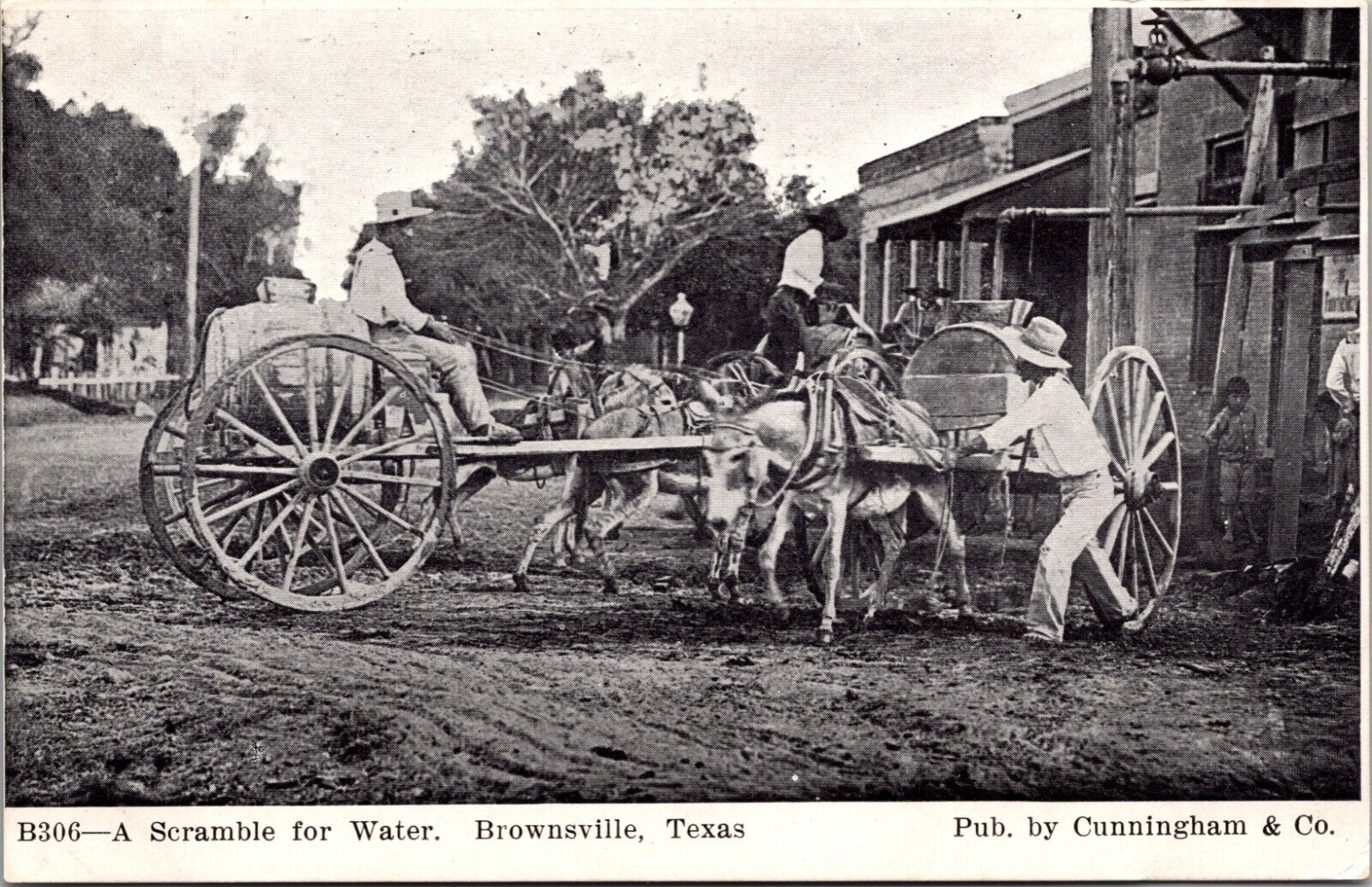 Scramble For Water Men With Horse-Drawn Wagons Brownsville Texas TX Postcard L66