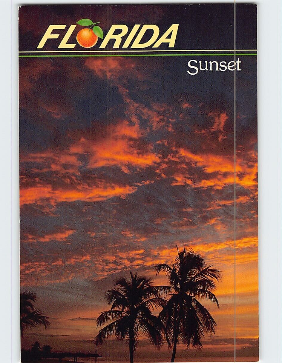 Postcard Florida Sunset Florida USA