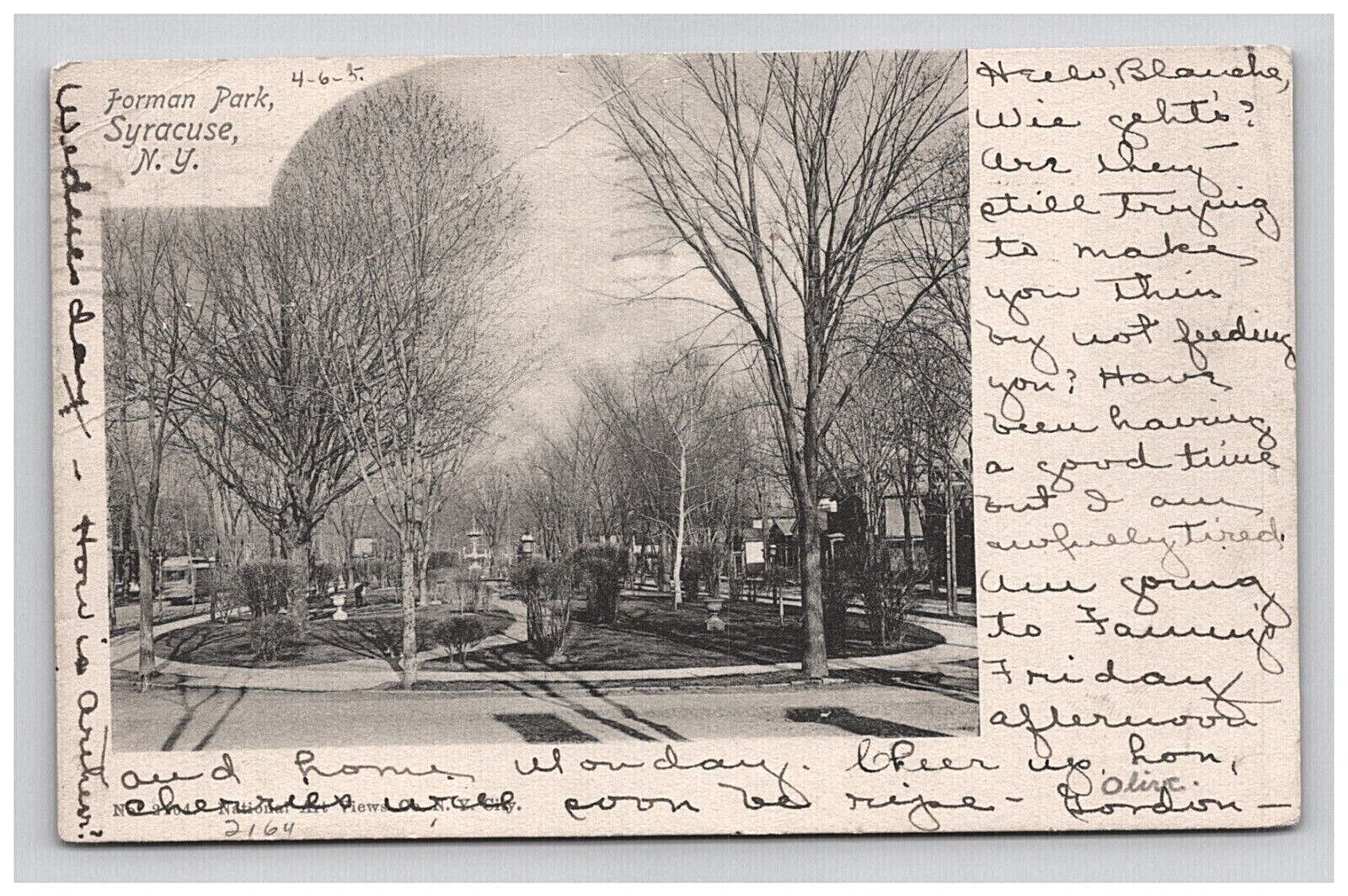 Postcard NY 1905 Forman Park Street Road Scenic View Syracuse New York