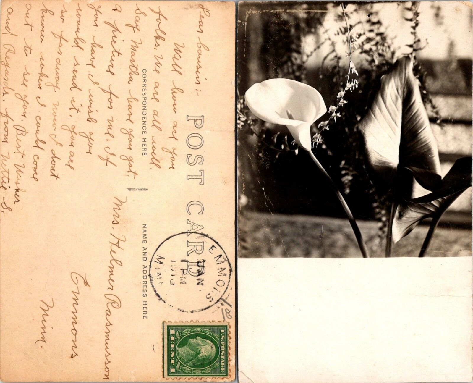 USA Minnesota Emmons Helmer Rasmusson Close Up of Flower RPPC Antique Postcard