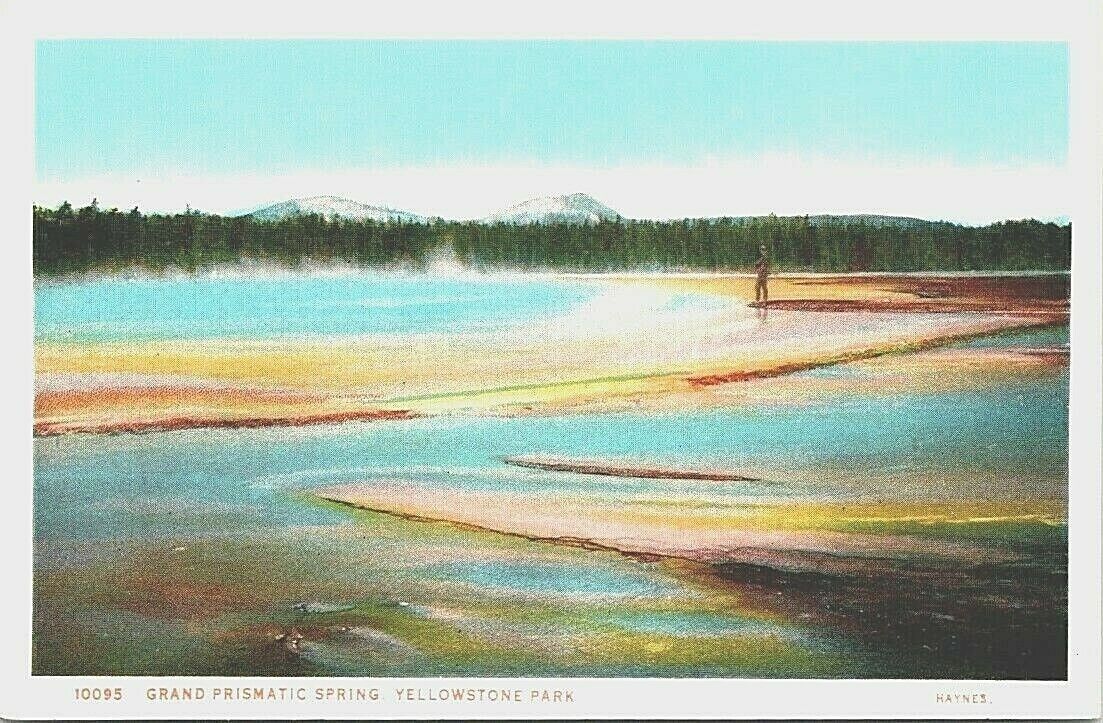 Postcard~Yellowstone National Park~Grand Prismatic Spring~Haynes