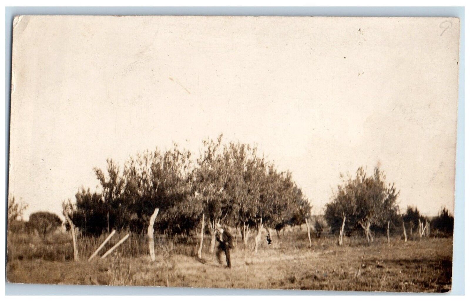 c1910\'s Boy At Farm Field Harvard Illinois IL RPPC Photo Posted Antique Postcard