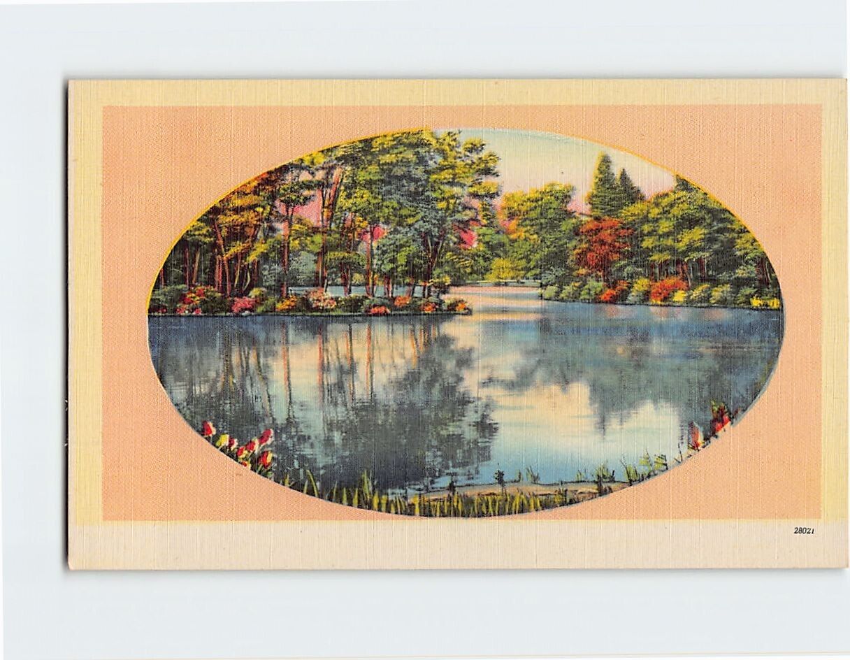 Postcard Lake Trees Garden Nature Landscape Scenery