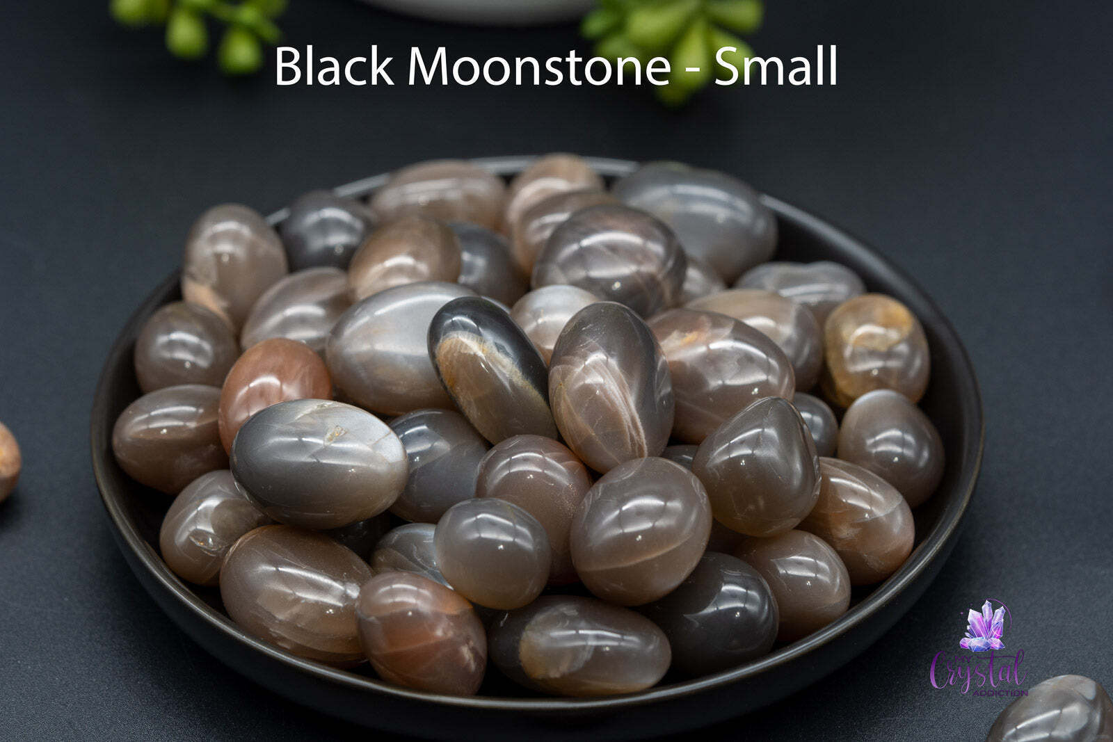 Black Moonstone Tumbles