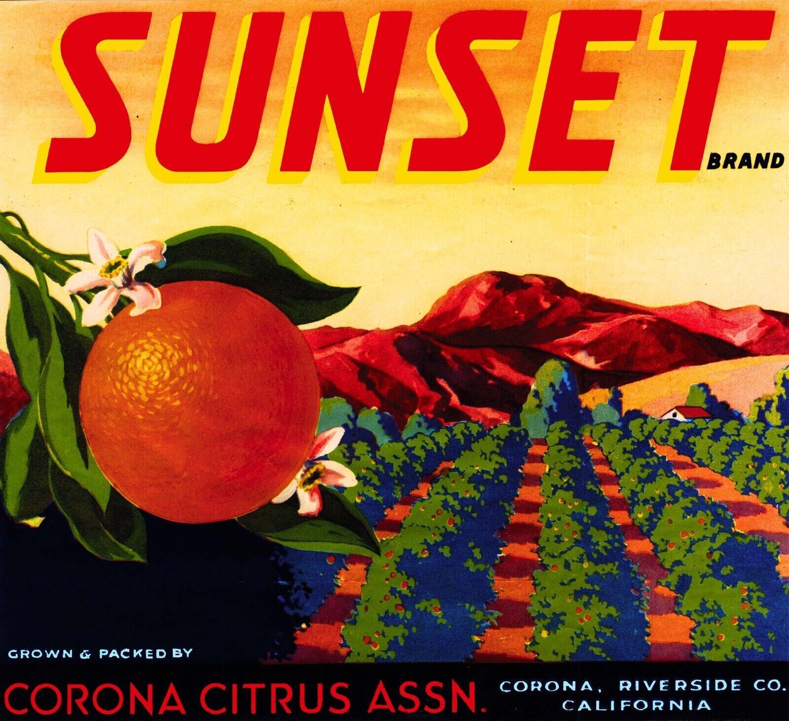 Sunset Orange Corona Riverside California Citrus Fruit Crate Label Art Print