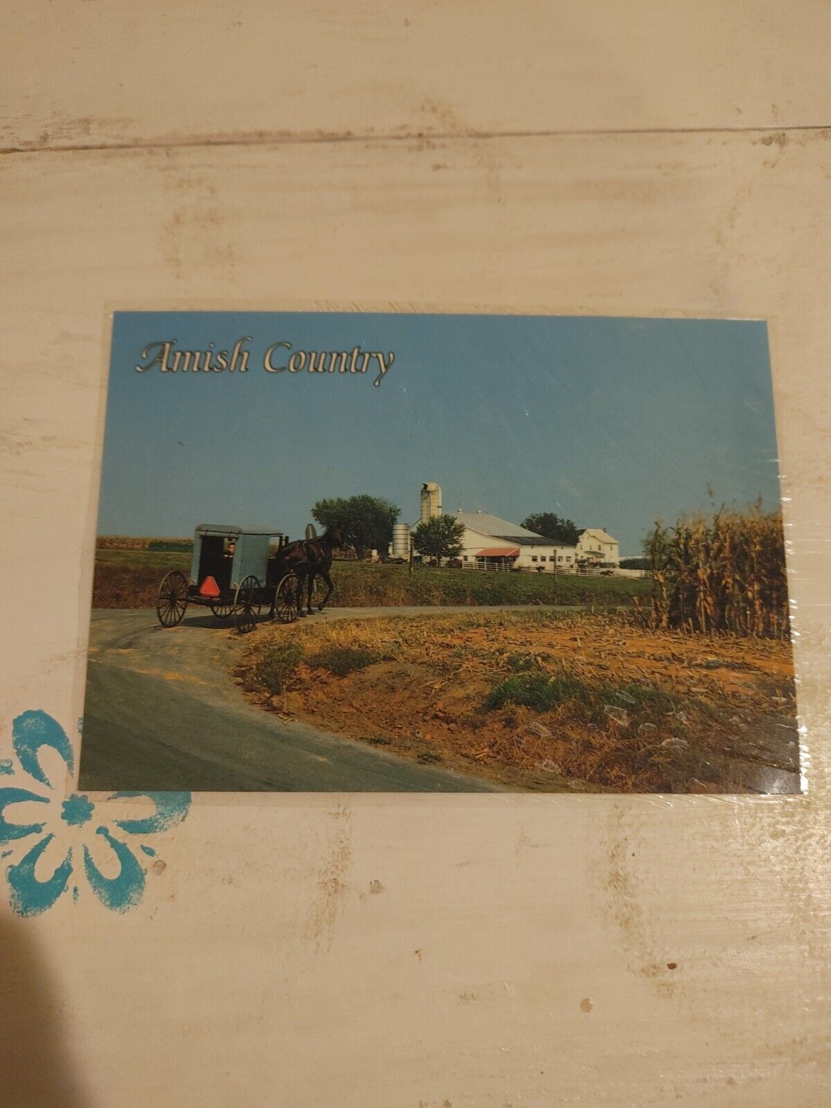 Vintage Amish Country Amish Often Refer Themselves as a Peculiar People Simple &