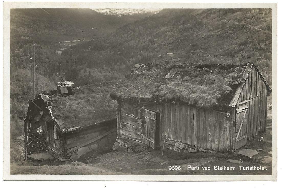 RPPC Norge Norway Parti ved Stalheim~Turisthotel Thatched Roof Unmailed c 1930