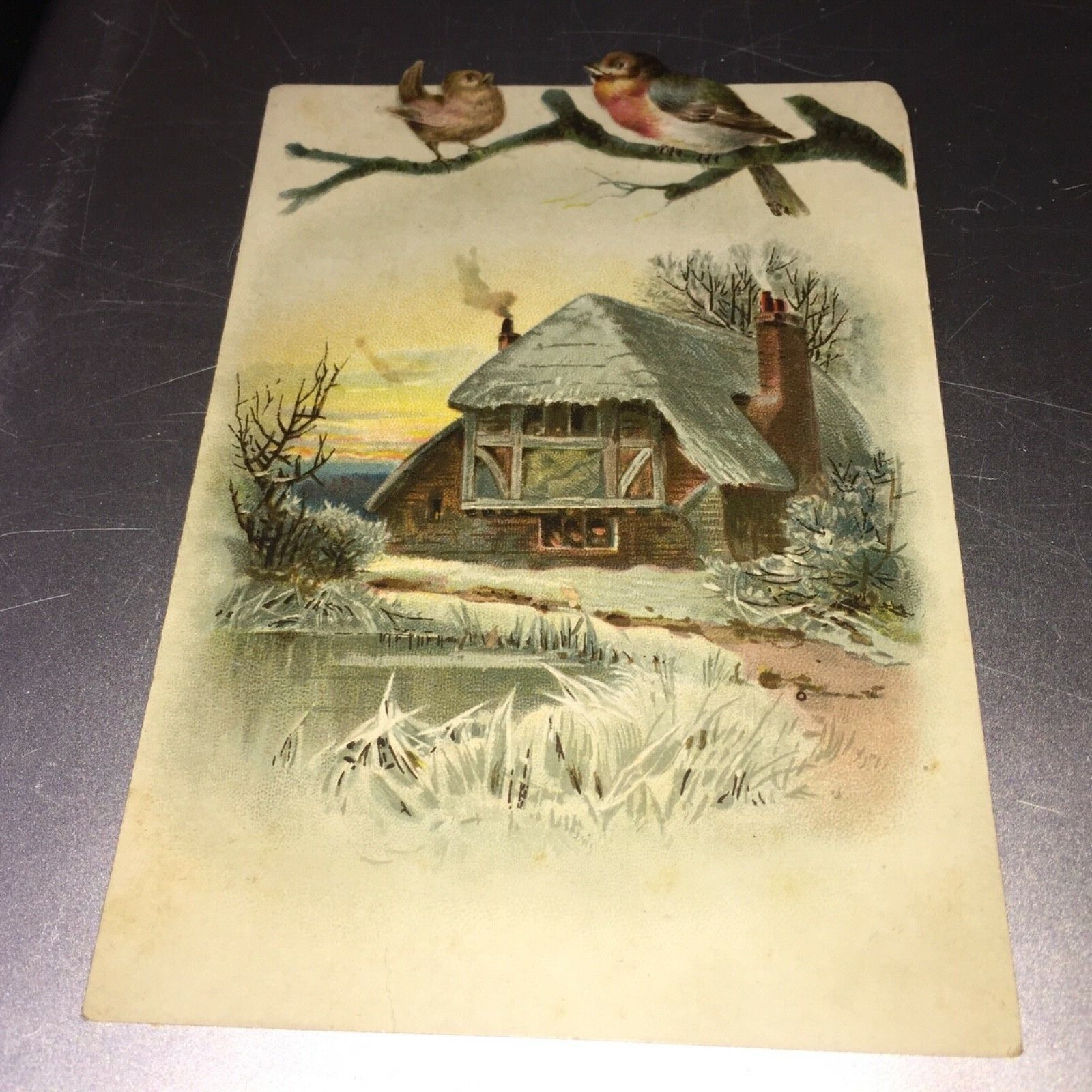 VICTORIAN HOME IN WINTER WITH BIRDS ON A BRANCH OVER THE HOUSE CARD