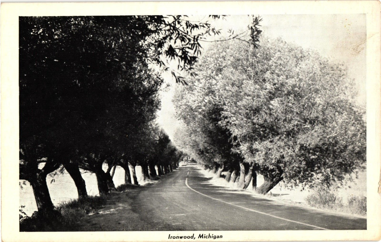 Ironwood Michigan Road & Trees White Border Postcard