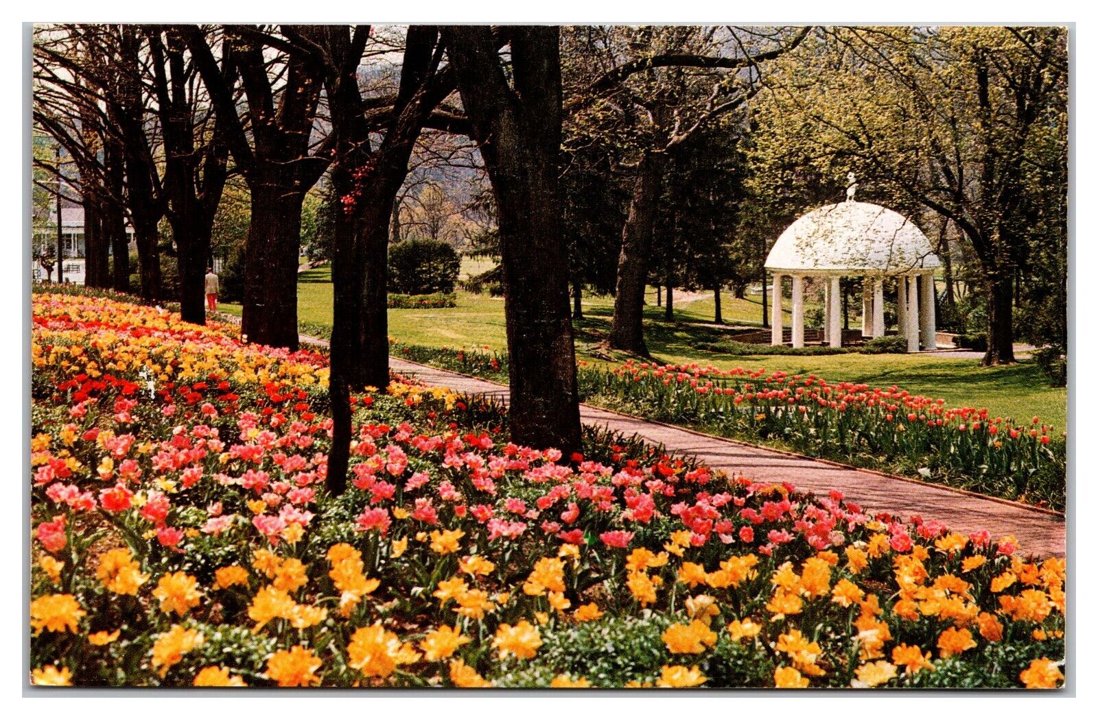The Greenbrier, White Sulphur Springs, West Virginia, Spring House Postcard