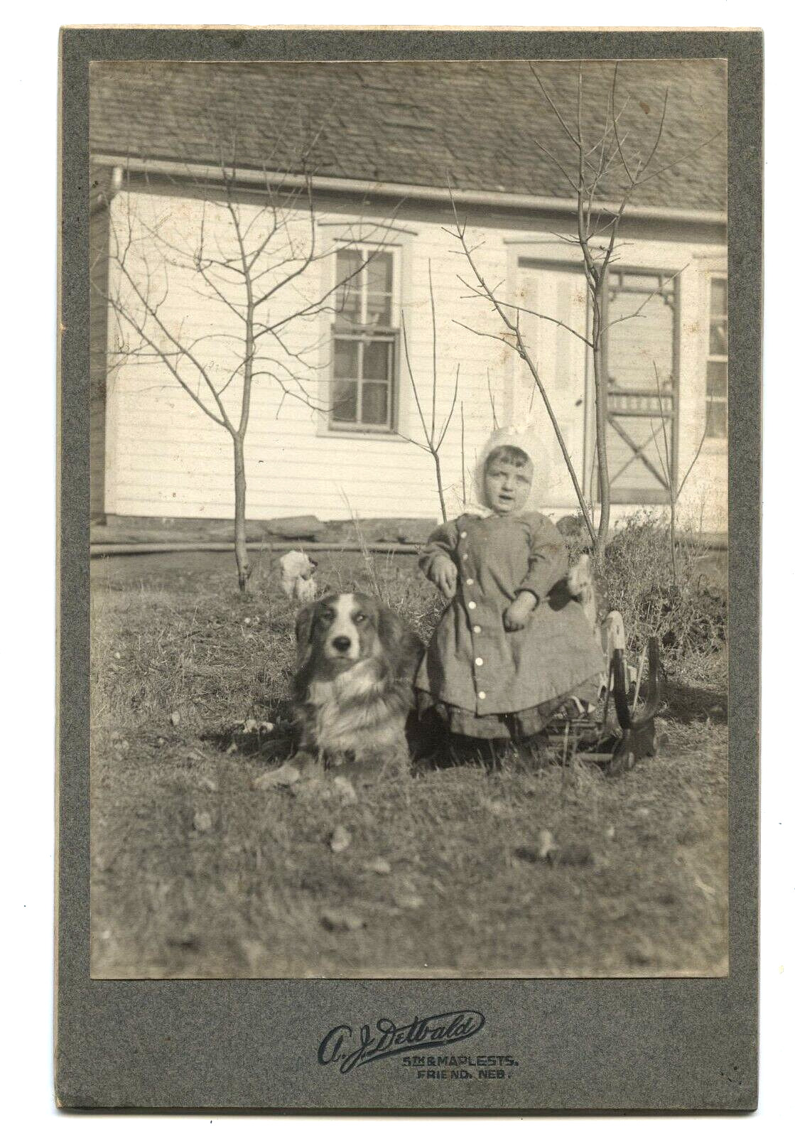 Antique Outdoor Photo Little Girl with Dog FRIEND Nebraska 1890s