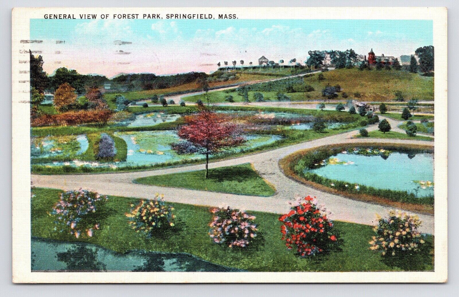 1930s General View Forest Park Ponds Paths Springfield Massachusetts MA Postcard