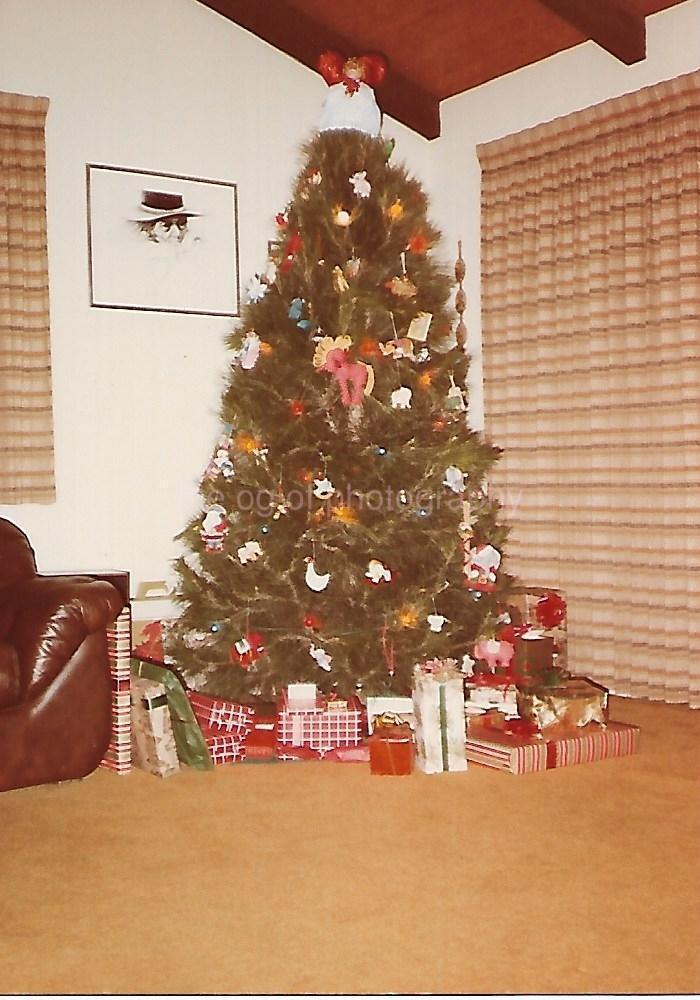 TREE Vintage FOUND CHRISTMAS PHOTOGRAPH Color ORIGINAL Snapshot 312 53 G