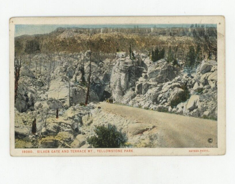 Vintage Postcard YELLOWSTONE      SILVER GATE & TERRACE MT.     UNPOSTED