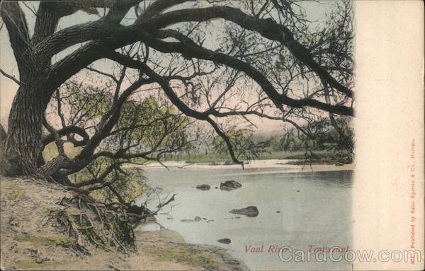 South Africa Vaal River-Transvaal Sallo Epstein & Co. Postcard Vintage Post Card