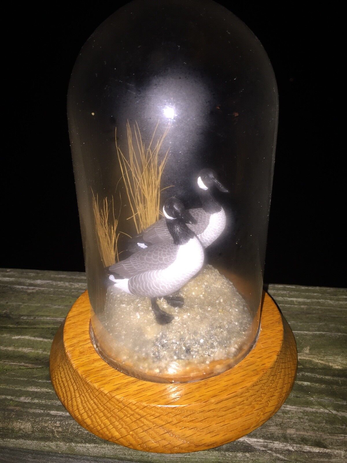 Vintage 8/6 Handmade CANADIAN CANADA GEESE n Covered Glass Display RARE ART ❤️j8