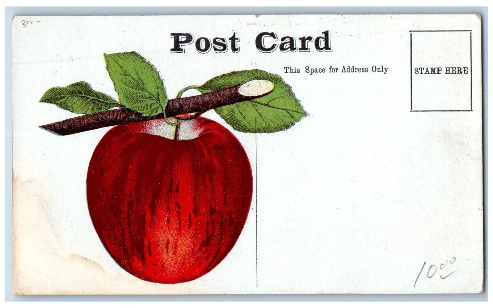 Council Bluff IA Postcard Apple Second Annual Exposition National Horticultural