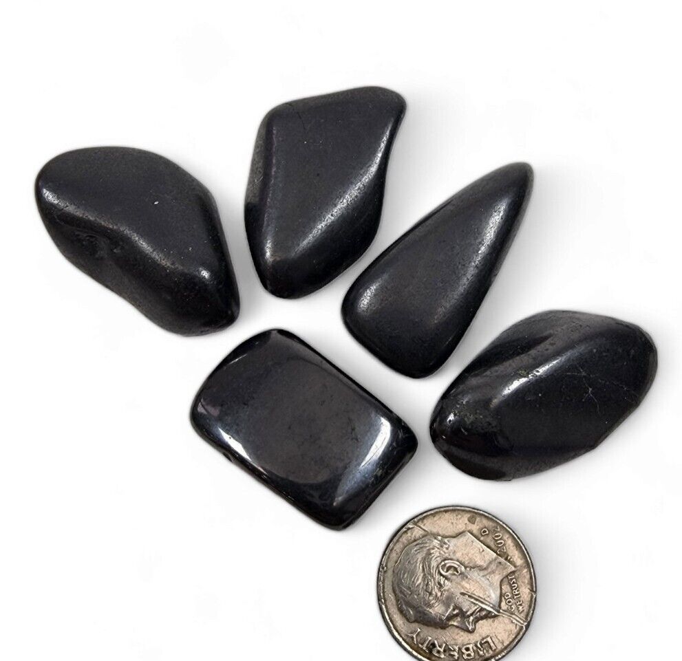 Shungite Petrovsky Tumbled Stones 25.4 grams 5 piece lot