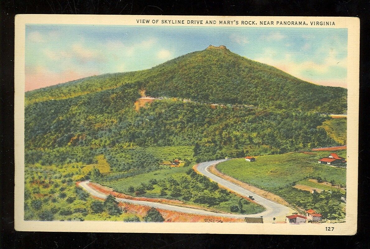 View of Skyline Drive & Mary\'s Rock, Panorama, Virginia (P-miscVA21