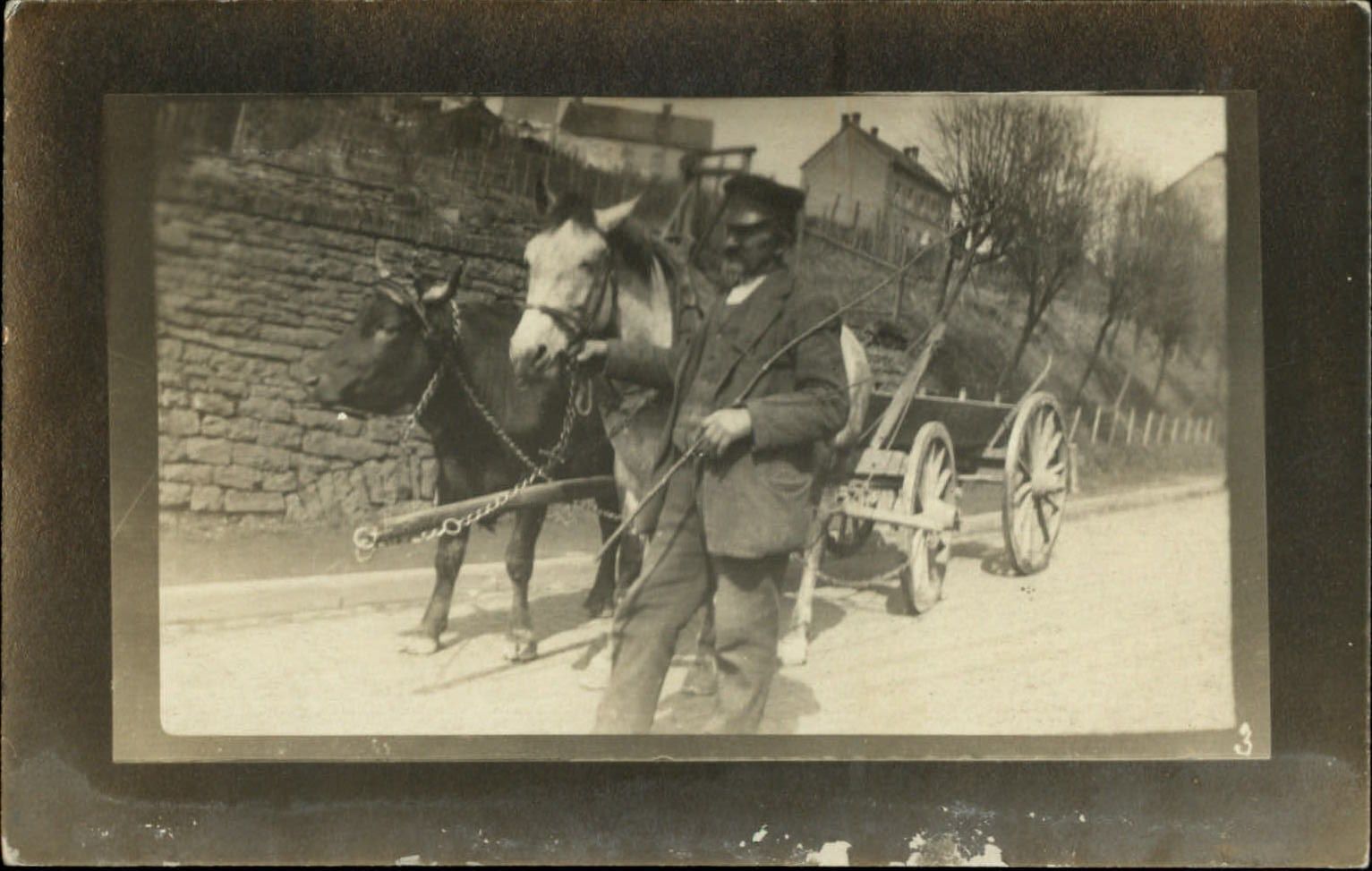 RPPC ox & horse team pulling wagon ~ vintage real photo postcard