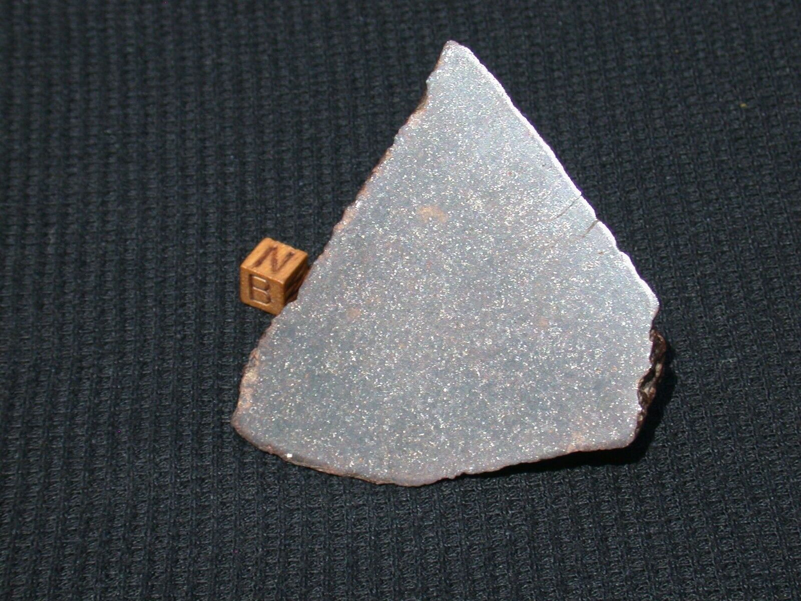 Very Nice Possible LL6 (311 g) NWA xxx Chondrite Meteorite end cut