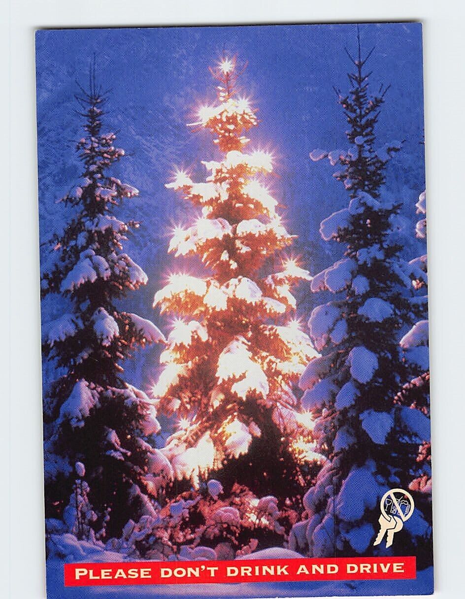 Postcard Our Christmas Tree Nova Scotia Canada