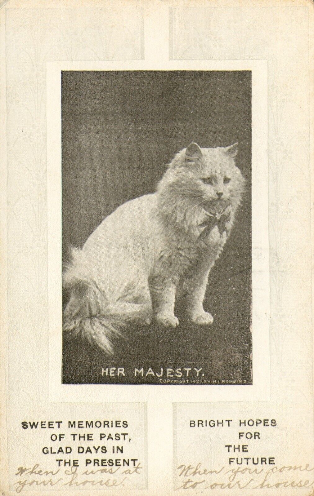 RPPC Postcard Antique 1912 WHITE CAT - HER MAJESTY - Fluffy with Bow - Stamped