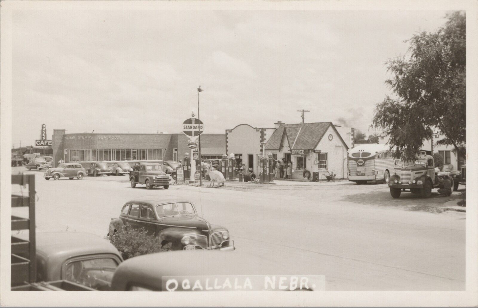 RPPC Nebraska NE Ogallala 1940s Standard Station Bus Depot Hokes Cafe Big Rabbit