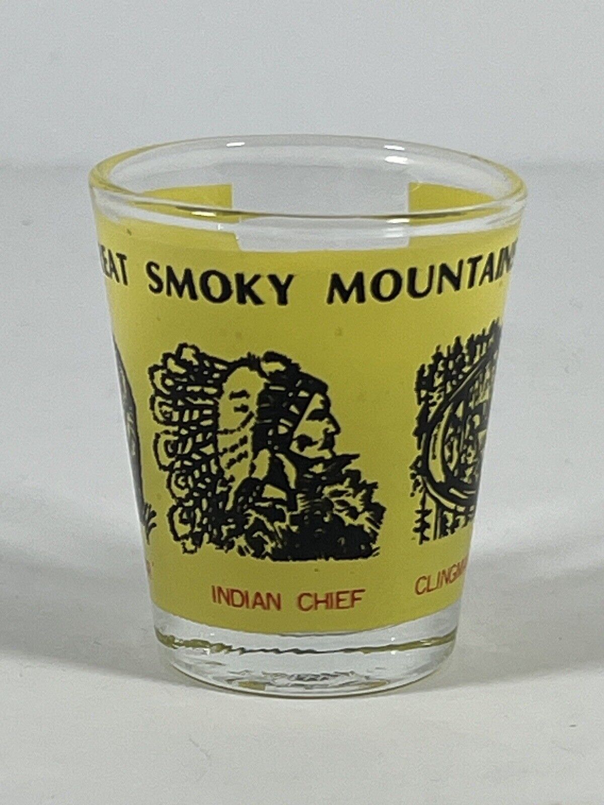 Vintage Great Smoky Mountains yellow clear Shot Glass