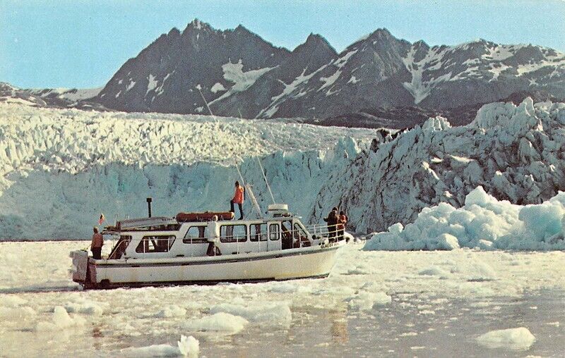 Riggs Glacier Yacht Tour Upper Muir Inlet Alaska Tours Juneau