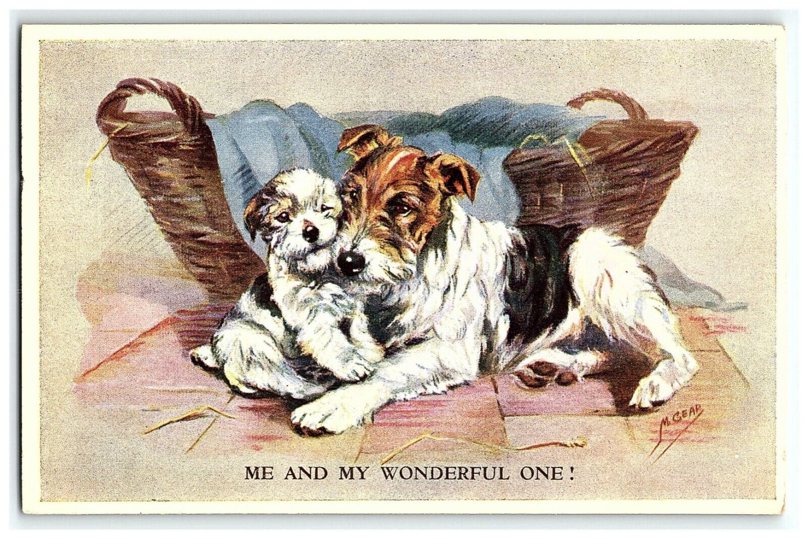 1907-15 Mabel Gear Terrier Postcard Me & My Wonderful One Basket Valentine Dogs