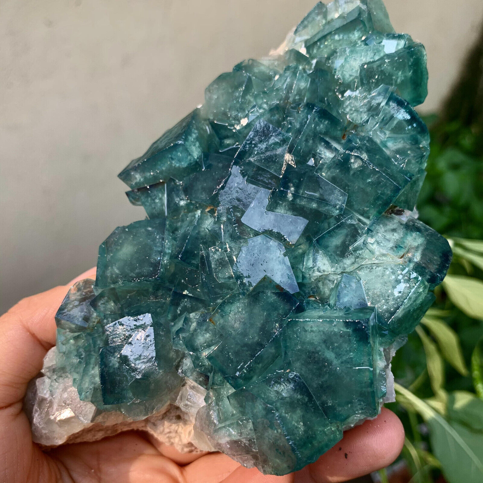 1.58LB  Natural Green FLUORITE Quartz Crystal Cluster Mineral Specimen