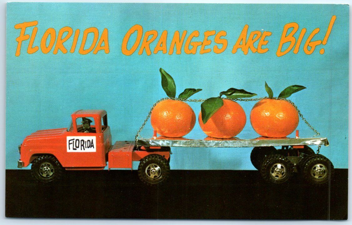 Postcard - Florida Oranges Are Big - Florida