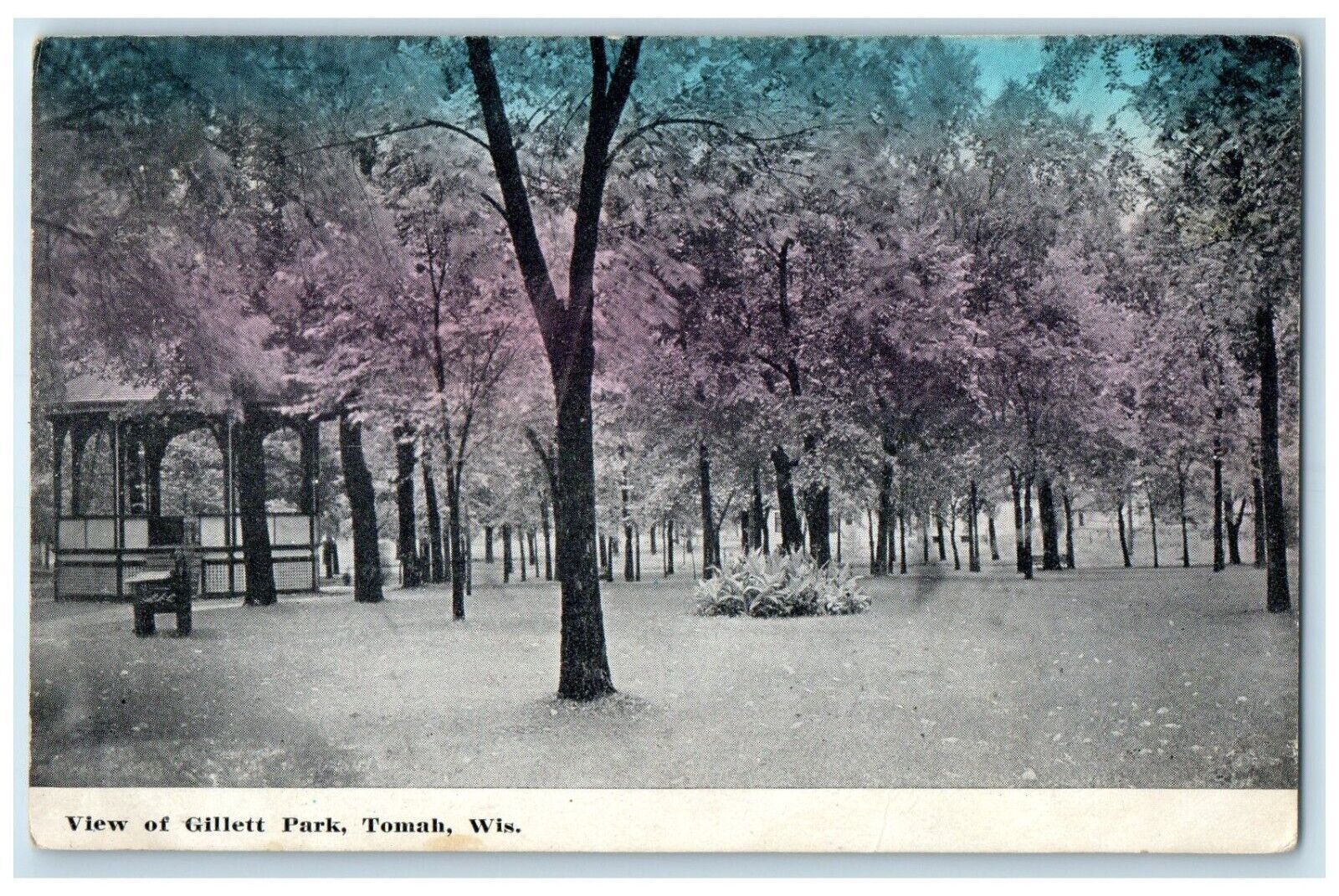1910 View Gillett Park Exterior View Tomah Wisconsin WI Vintage Antique Postcard