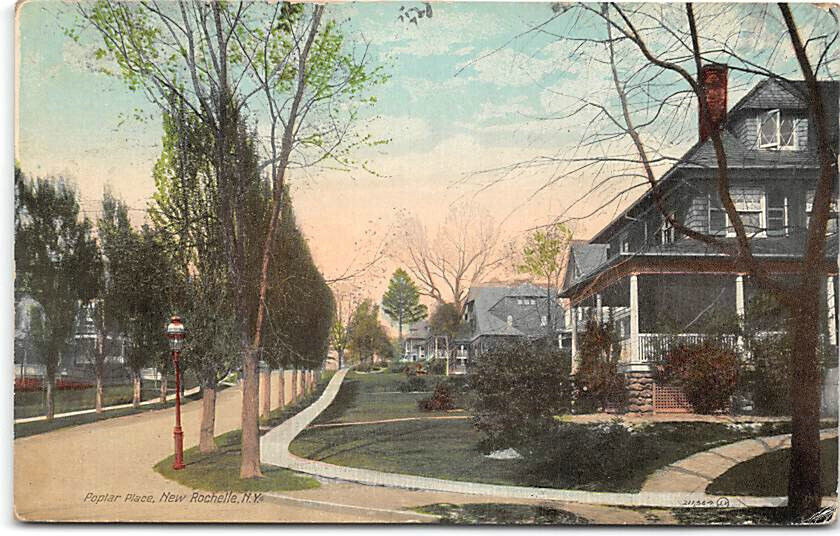 New York-NY-New Rochelle-Poplar Place-Houses-Antique Postcard