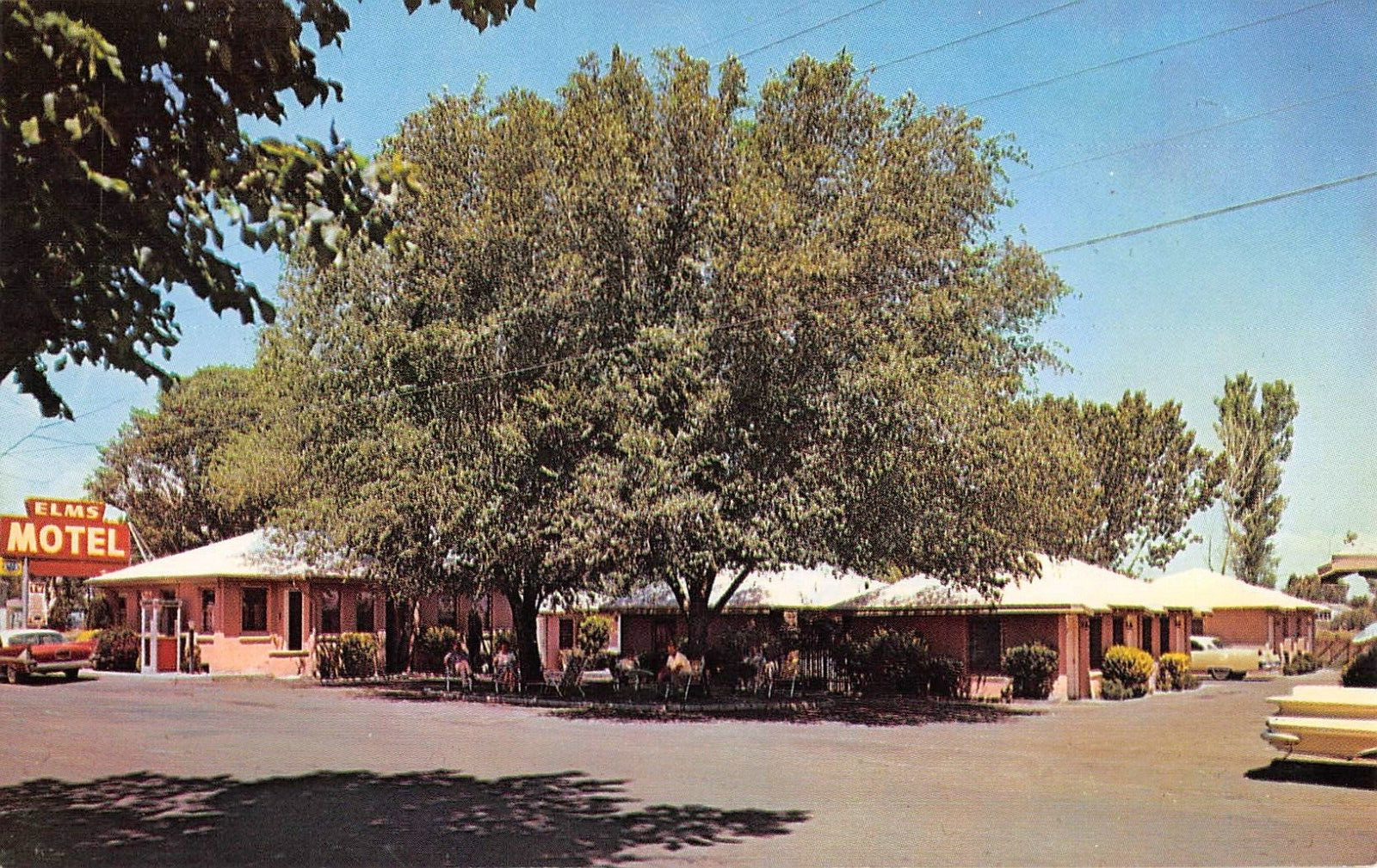 THE ELMS MOTEL Bishop, CA Elm Street Roadside Inyo County 1960s Vintage Postcard